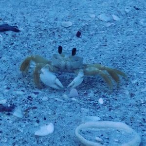 Meet your Posher, Zoe